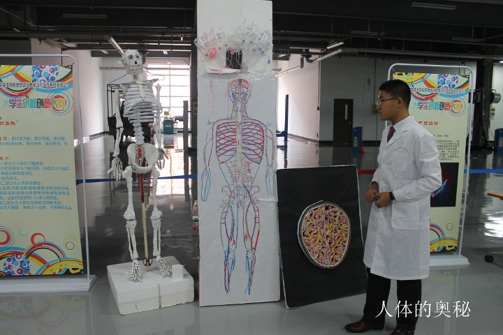 人体的奥秘.jpg